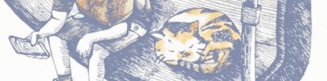 家族群里的爆款文章，是怎么收割老年人的？