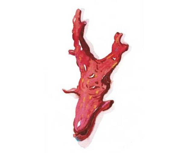 海洋里面有什么护肤成分,海洋护肤成分有哪些