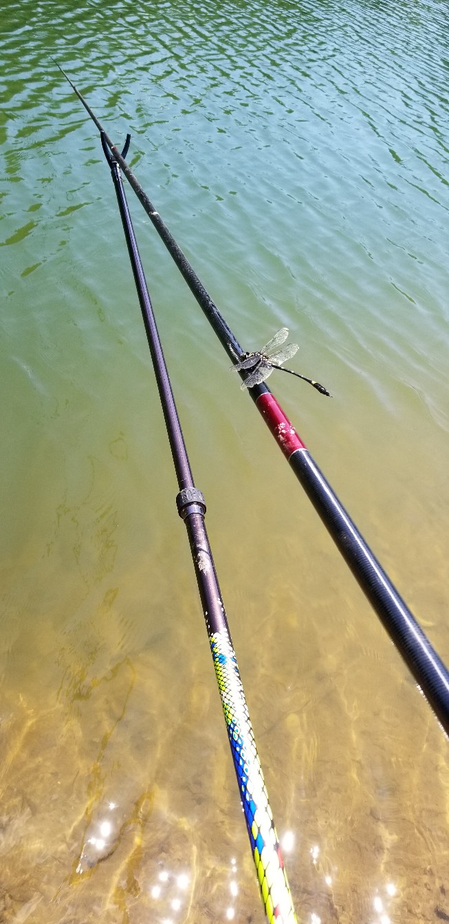 鱼没钓到还把诱饵吃了,鱼没钓到雨还下大了