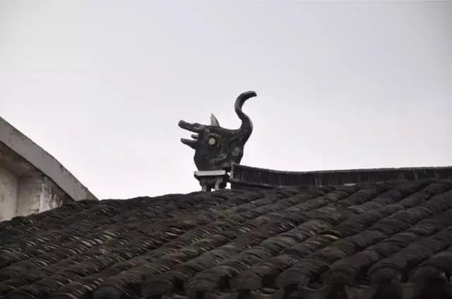 吴中区好消息,苏州好消息