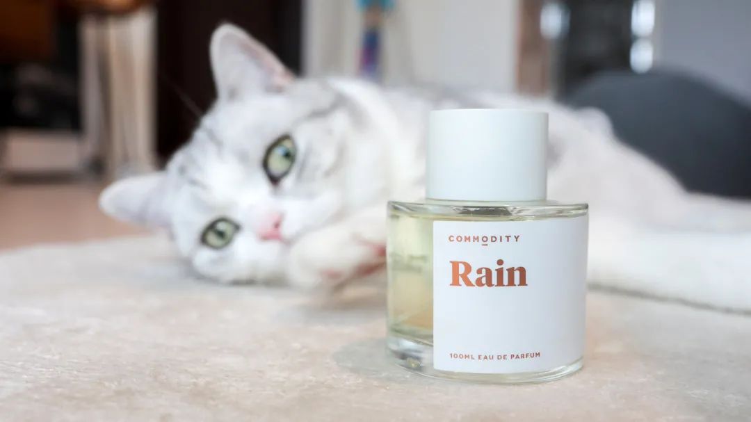 坚果黑巧纯可可脂,坚果黑巧燕麦