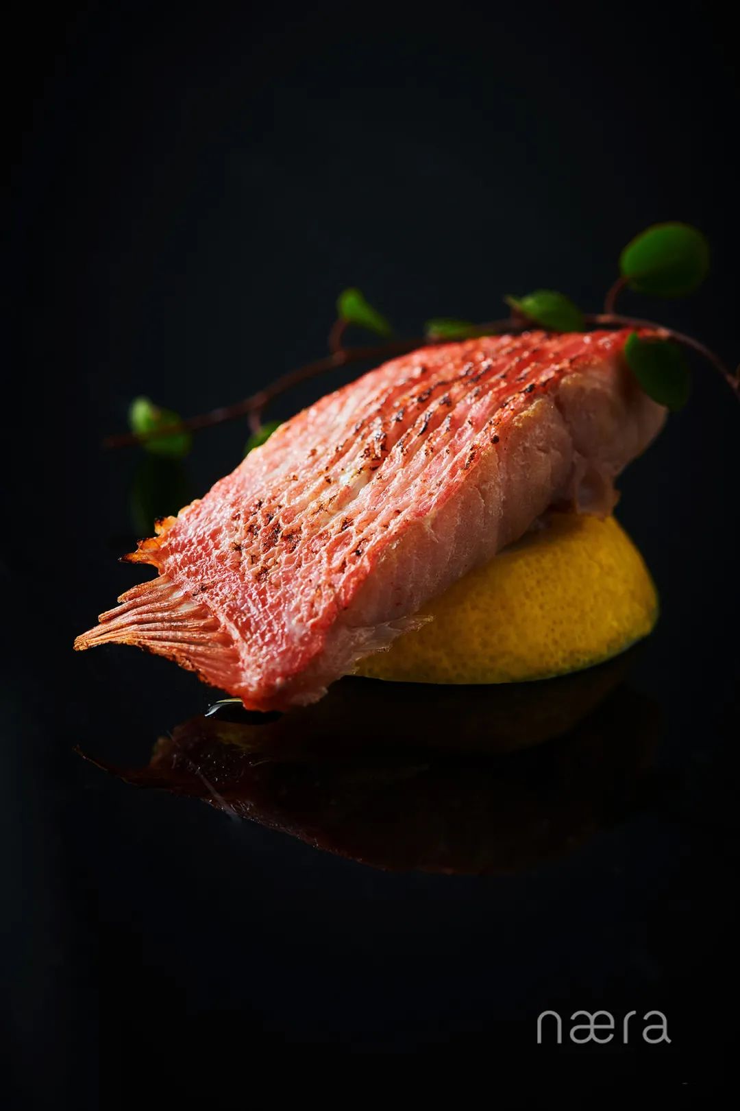 西塘游玩推荐的酒店,西塘古镇风景最好的酒店