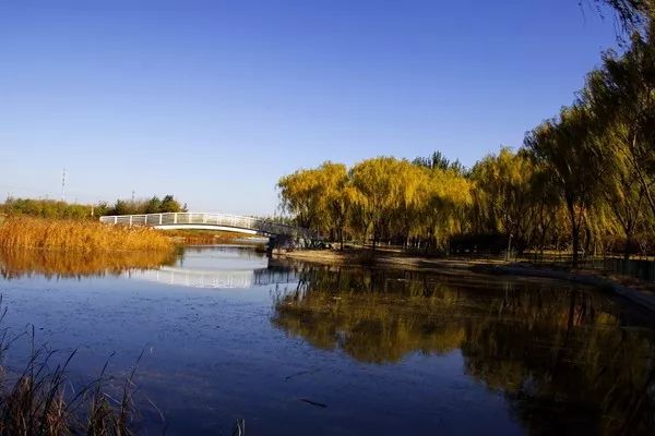 漫游新城|文化荟萃，景色怡人，在这里尽享公园慢时光