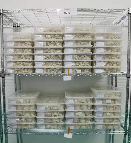 进口燕窝需要什么资质,燕窝的误区进口