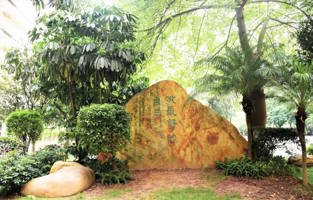 牛！天河这所小学作业量少成绩超强！学有优教30年诞下“3条龙”