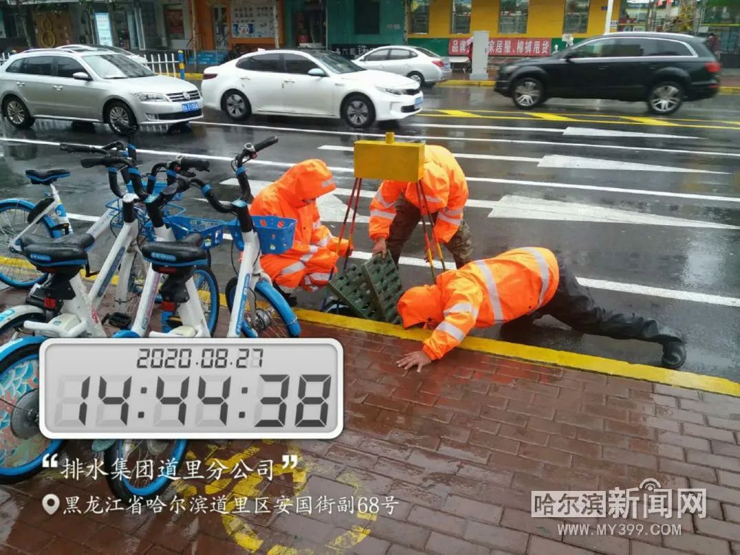 “巴威”到哈即“停编”，但是暴雨没完丨有站点累计降水量超70毫米