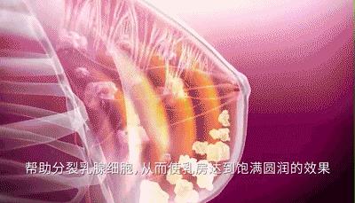 如何快速丰胸且不会反弹,不吃药怎么丰胸