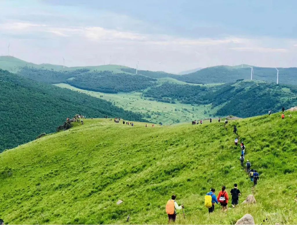 让我们一起去露营一起快乐,与你一起去露营