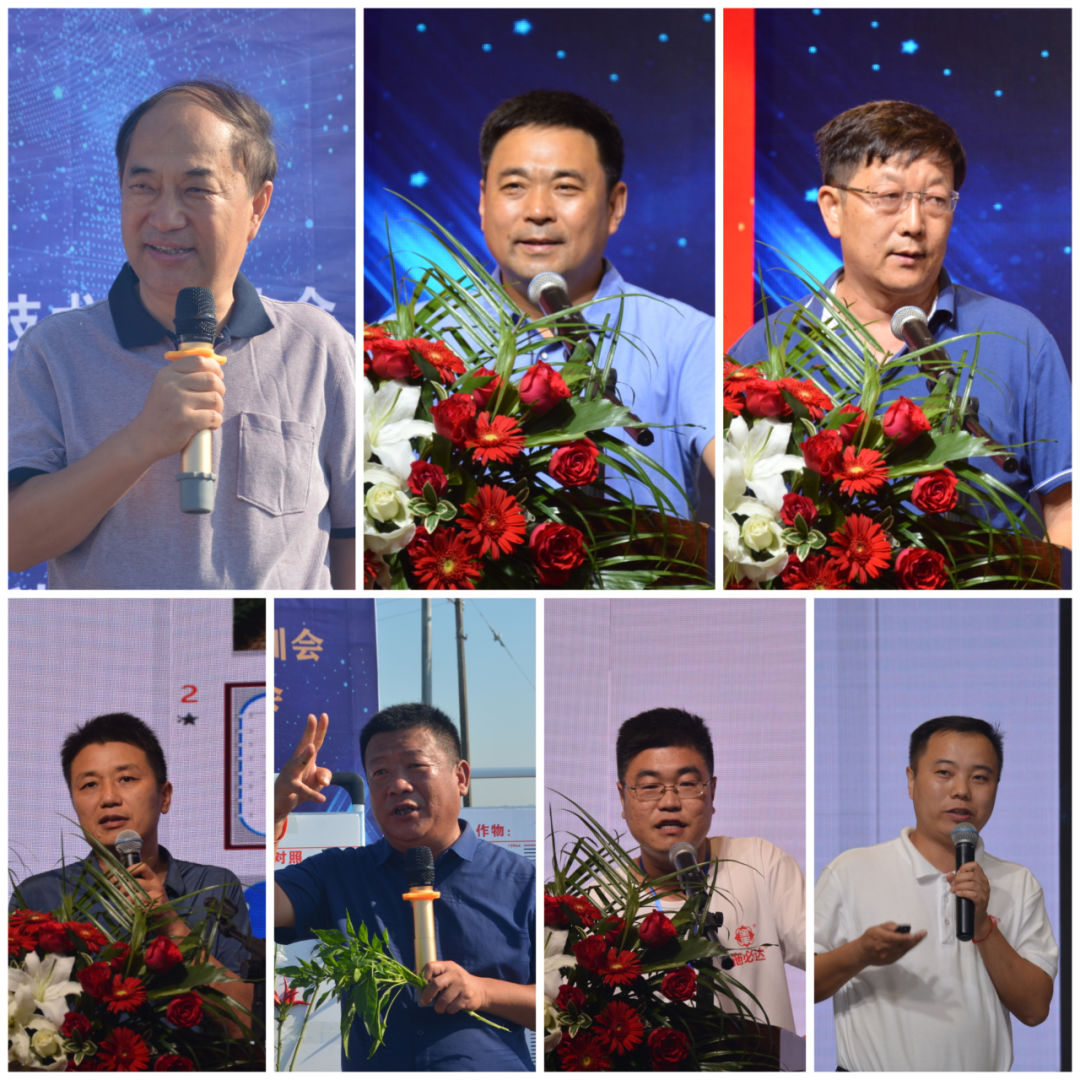 全丰施必达国光,辣椒叶面肥增产专用