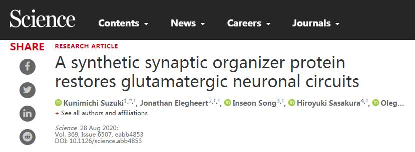 science基因治疗,science小分子抑制剂