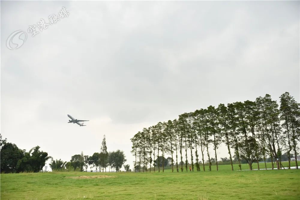 飞机的最佳观赏位置,看飞机的最佳场地