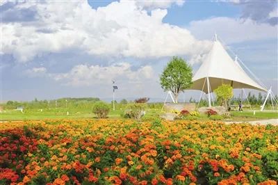 花田之约，醉美其中…