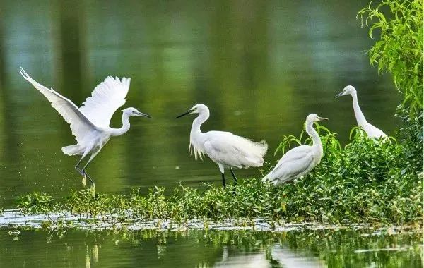 五莲休闲吧,五莲怡然自得