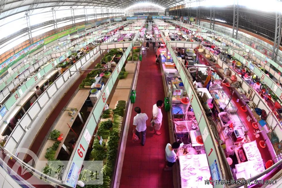 用城市美化助力文明城市创建,用志愿服务点亮城市文明底色