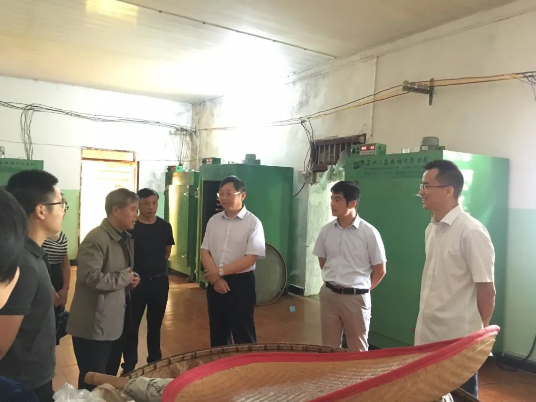 中茶督导,六名专家来为茶产业发展出谋划策