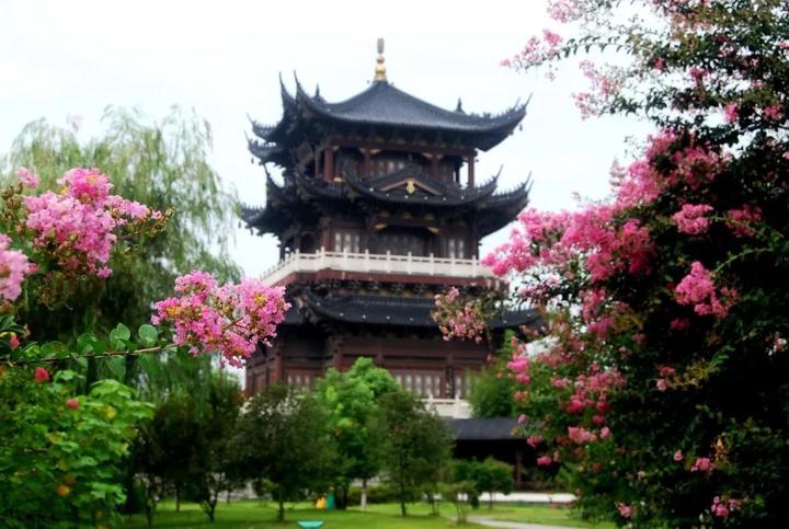 衢州市柯城区府山公园,府山公园最新视频