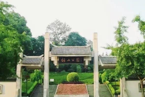 衢州市柯城区府山公园,府山公园最新状况