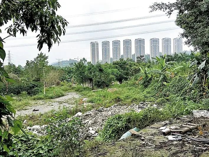 深圳宝安区西乡大道改造,宝安40年蝶变