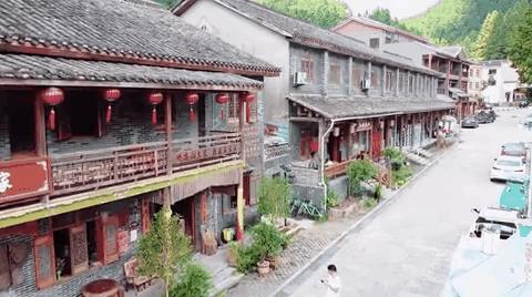 背靠梨树致富案例,背靠大树赚钱