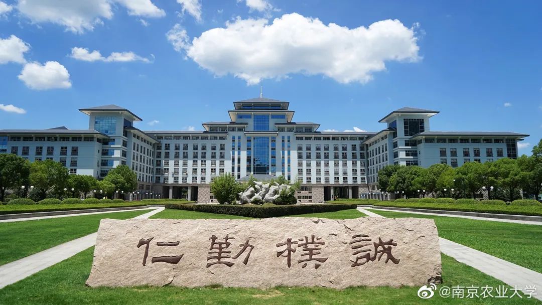 妈妈，我在南京上的真的不是“野鸡”大学