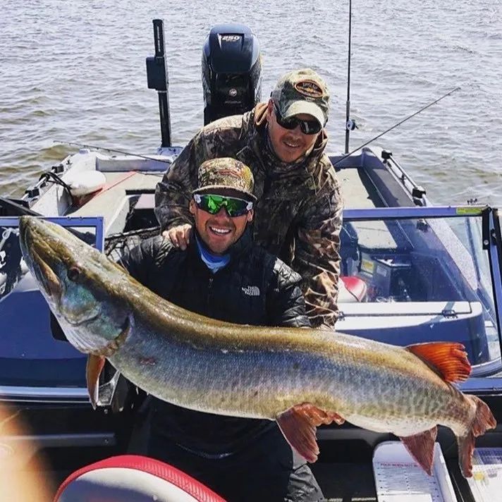 睡一觉去下一个地方旅游,睡个觉翻个身就能出国