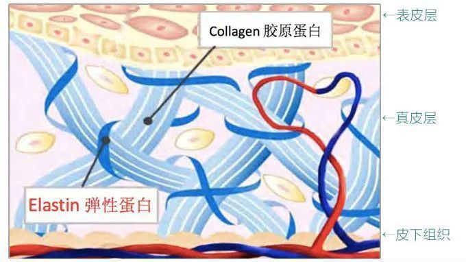 小茂面霜哪个好用,小茂推荐的护肤品