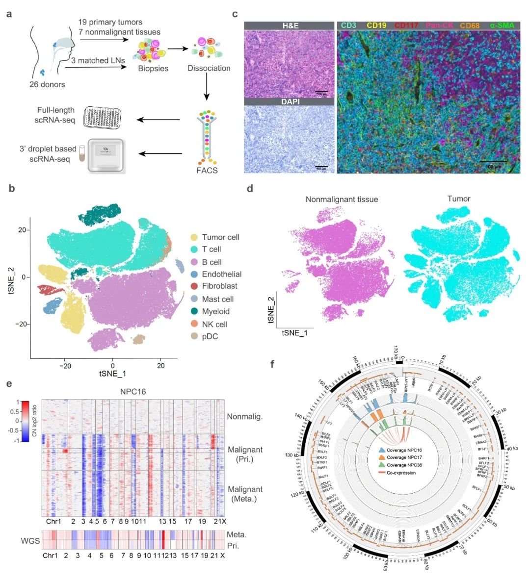 北京大学领导干部大会,北京大学校长大会演讲