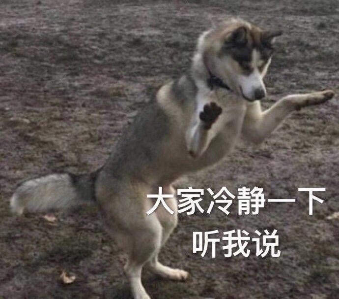 雪姨用的什么设备,为什么雪姨可以用imac