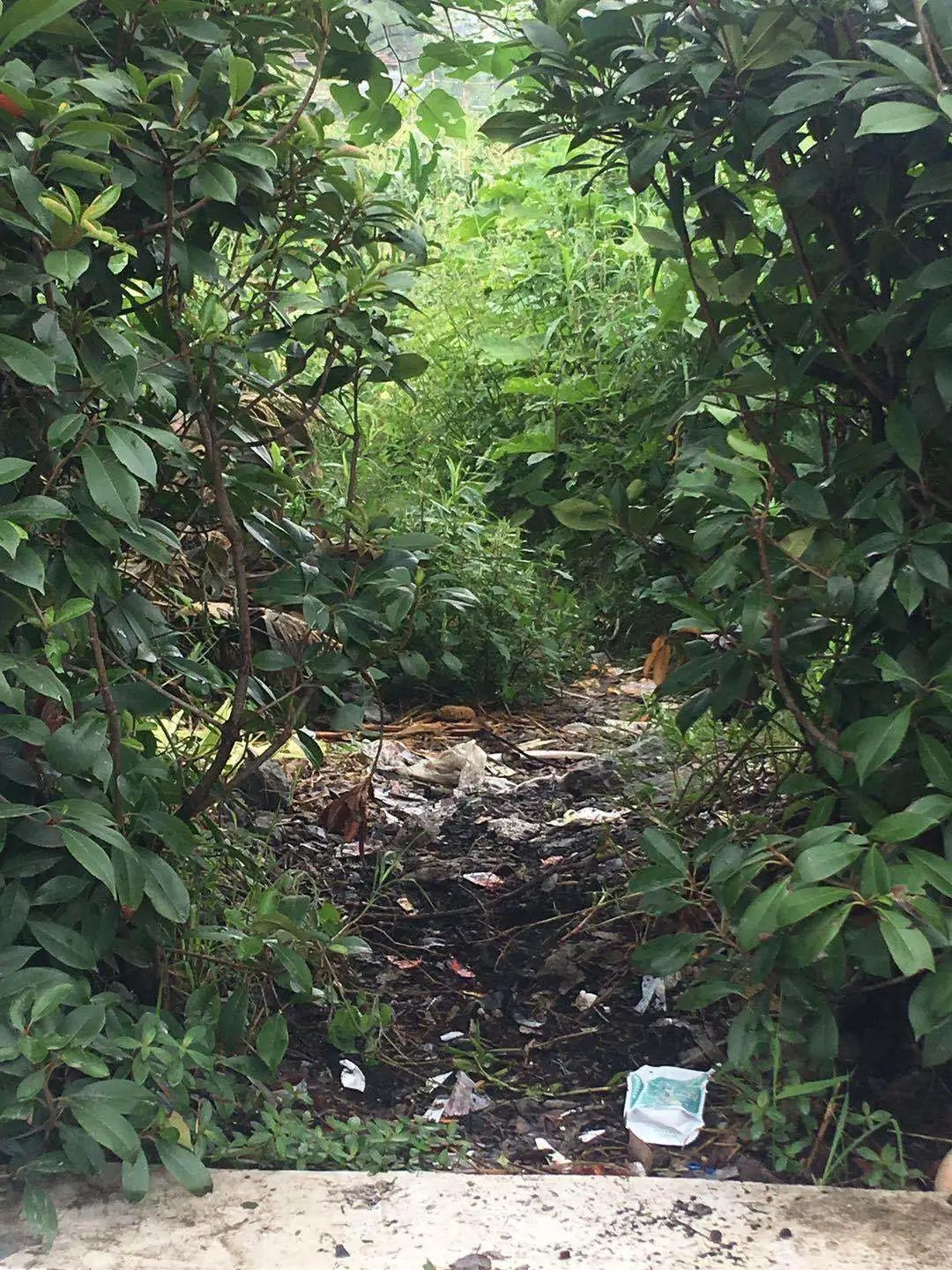 欠收拾图片,宝宝欠收拾