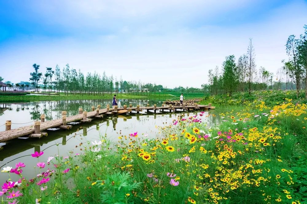 果实圆熟之秋,百万流量主播带你走进新津