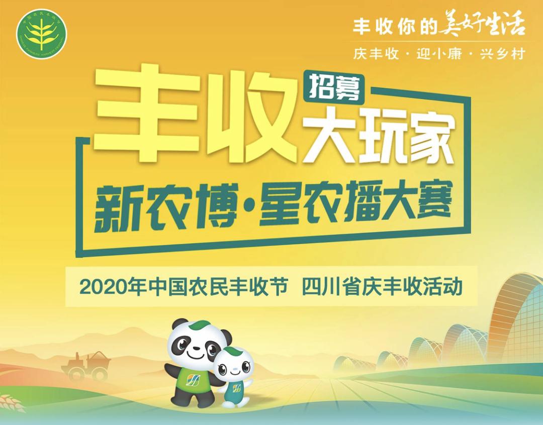 果实圆熟之秋,百万流量主播带你走进新津