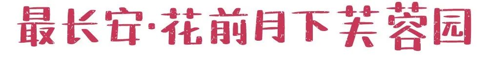 在曲江，你可能不会发胖，但一定会脱单