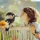 一堂拯救股民的公开课,拯救30万股民