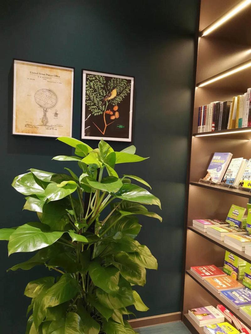 打出“国内首家跨文化书店”口号的书店现身上海虹口,要把书店开成“4S店”