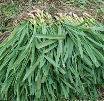 收藏！四川十二月月月hei惊艳