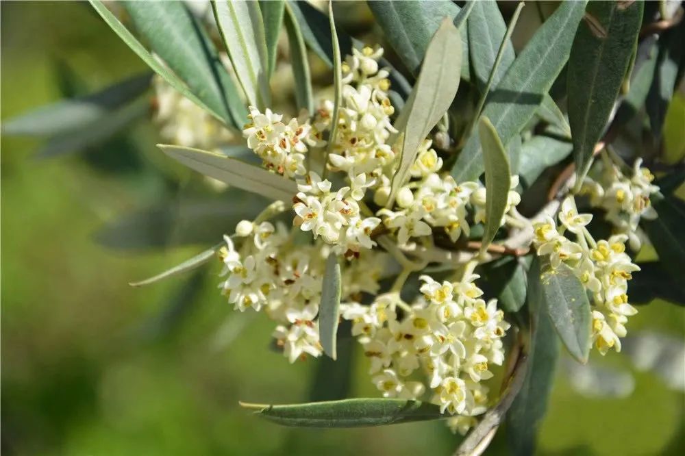 武都旅游景点大全,武都旅游线路