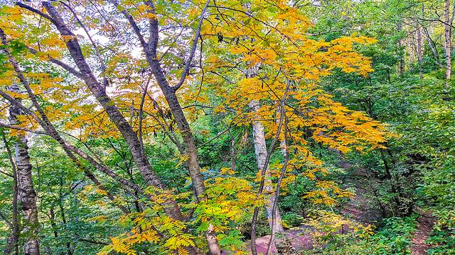 涞水野三坡旅游攻略,涞水白草畔自然风景区野三坡