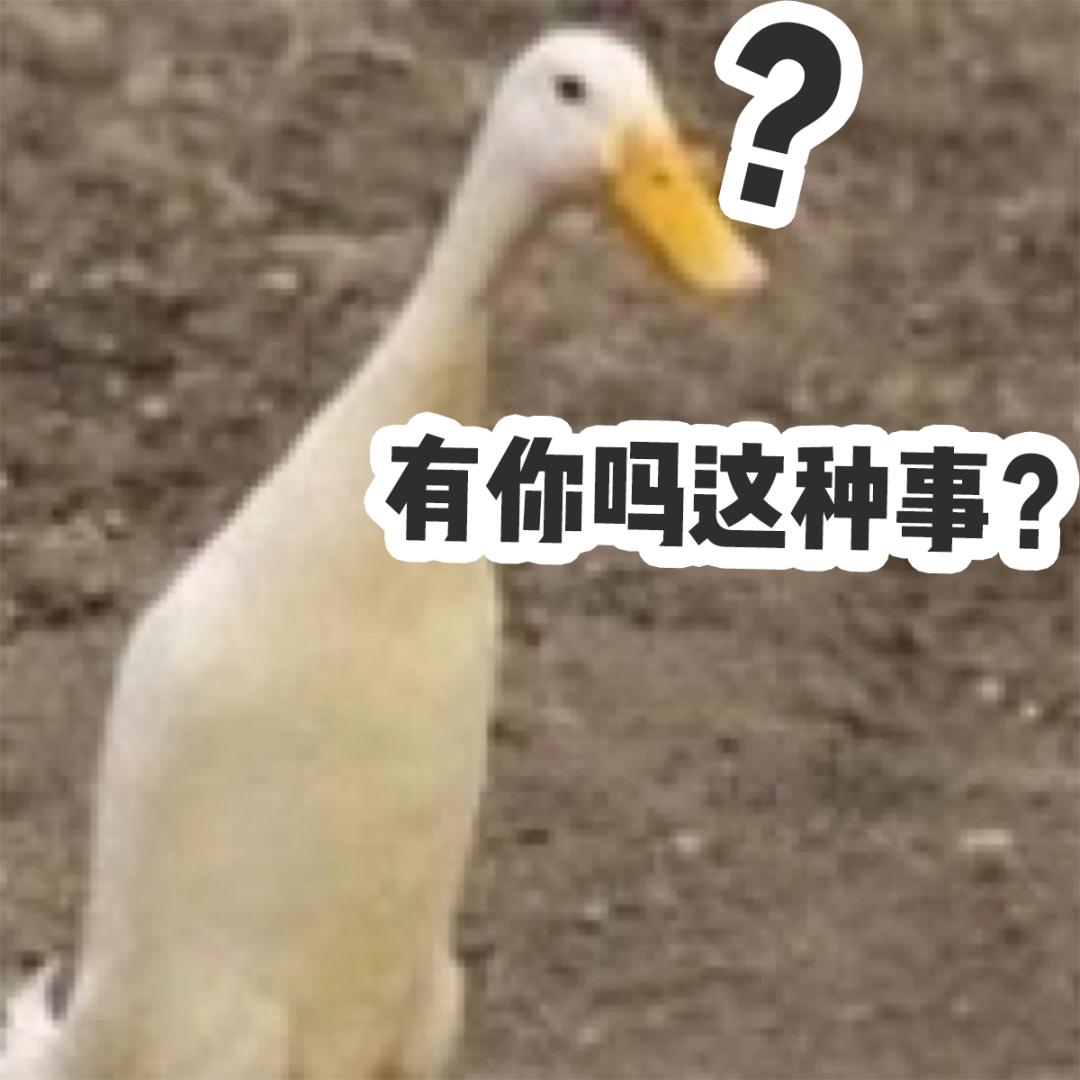 2小时高铁+1小时地铁，就为了去成都逛超市？