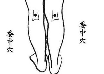 站久了腰痛用什么类型的护腰,长期卧床老人腰痛用什么护腰