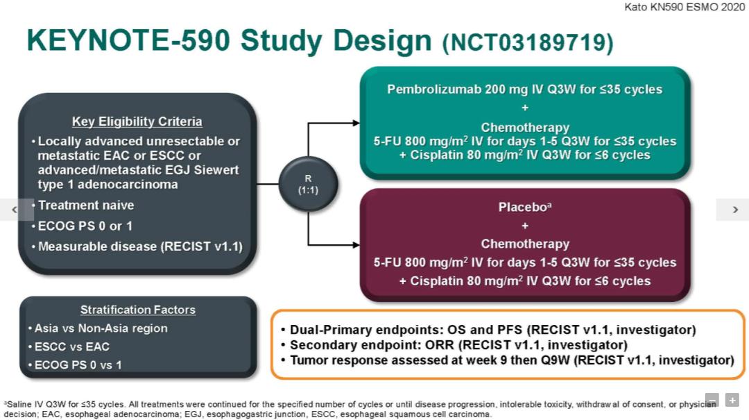 周爱萍医生,周爱萍肿瘤内科