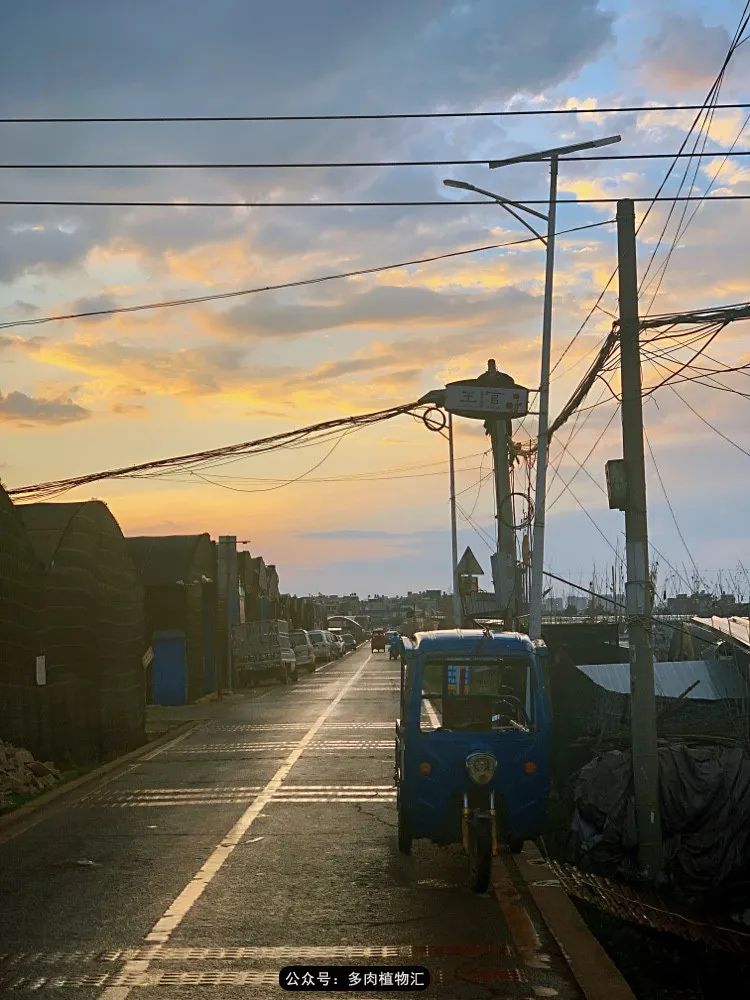 浠庝簯鍗楄繃鏉ュ箍涓滅殑澶氳倝,閬囪澶氳倝鎰熸仼鐢熷懡涓墍鏈夌殑鐩歌瘑