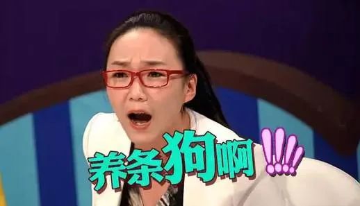 养了十年的狗和出生的婴儿,养了10年的狗和男朋友你选谁