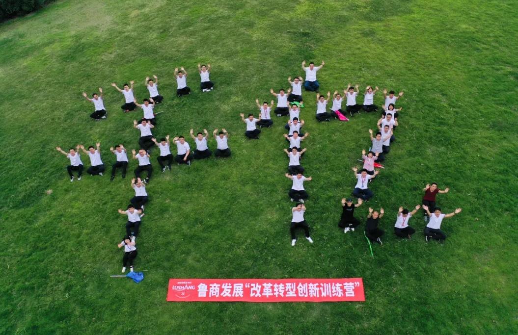 鲁商发展最新规划,鲁商置业未来发展趋势