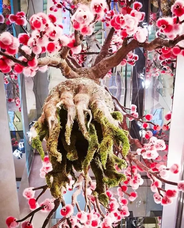 他是日本著名“花花公子”，拈花惹草只为极致的美