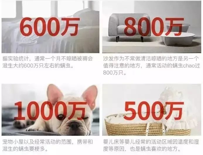 团|墙上插上它，24小时物理除螨，让千万螨虫集体自杀，比太阳暴晒强10000倍