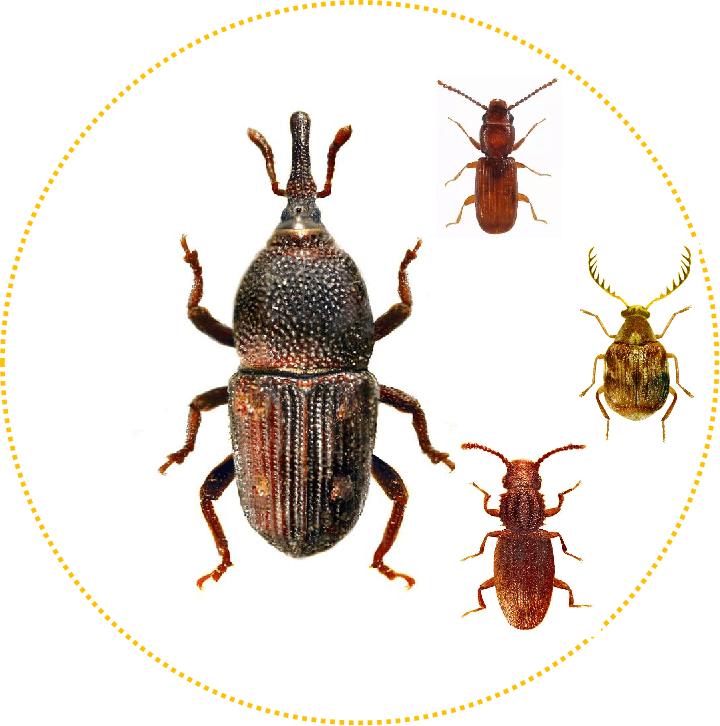 海关出口小知识,海关小知识大全集