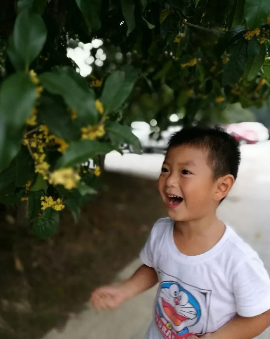 滨江多思创新学校,滨江学校全部排名