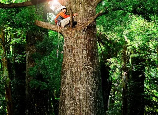人生三幸：手上有活，心中有诗，眼里有光
