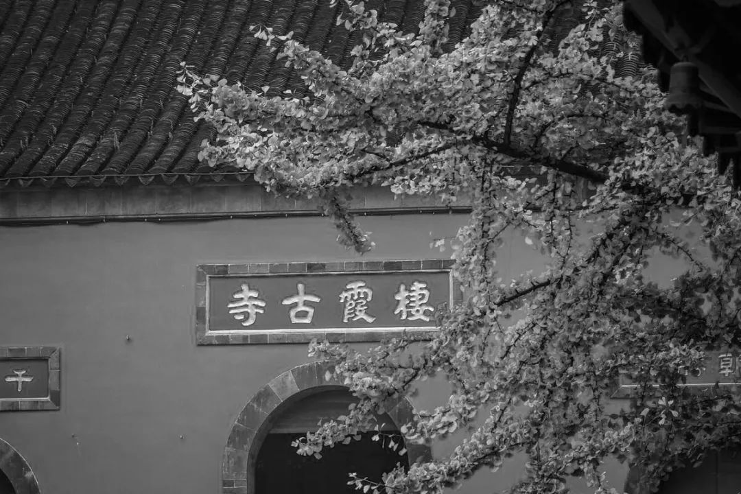 好看的电视剧,好看的图片