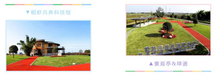 广汉哪里有好吃的地方,广汉有什么好吃的推荐